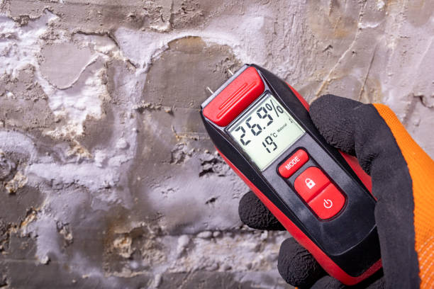 Best Residential Mold Removal  in , NE